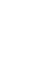 PAWS Chicago