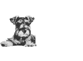 Maddie's Fund