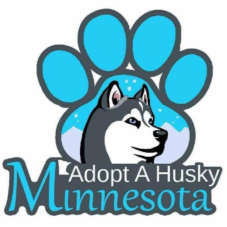 Adopt A Husky Minnesota