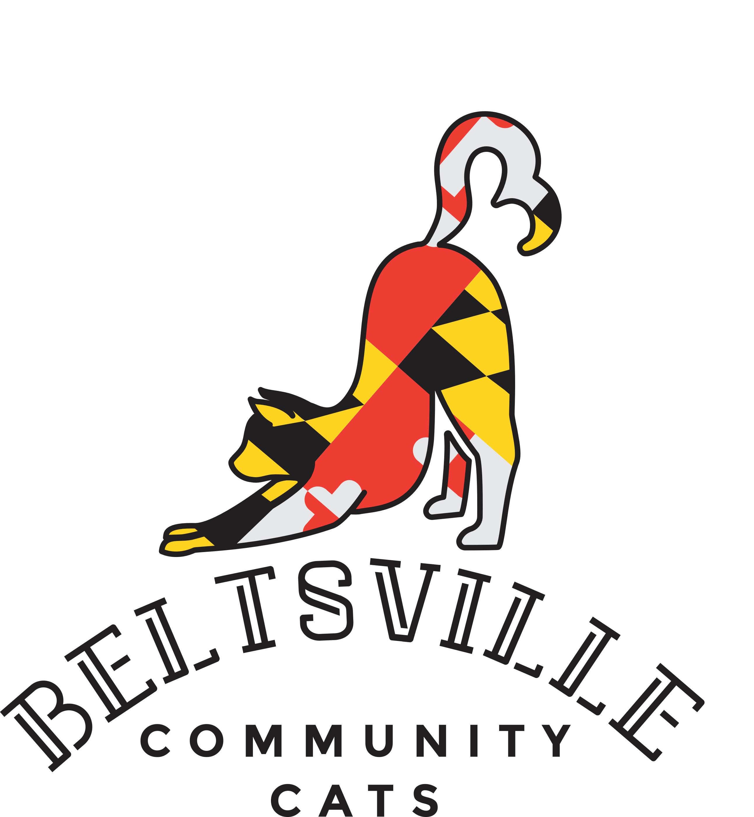 Beltsville Community Cats