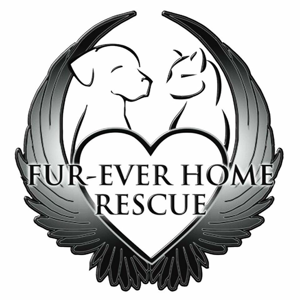 Fur-Ever Home Rescue