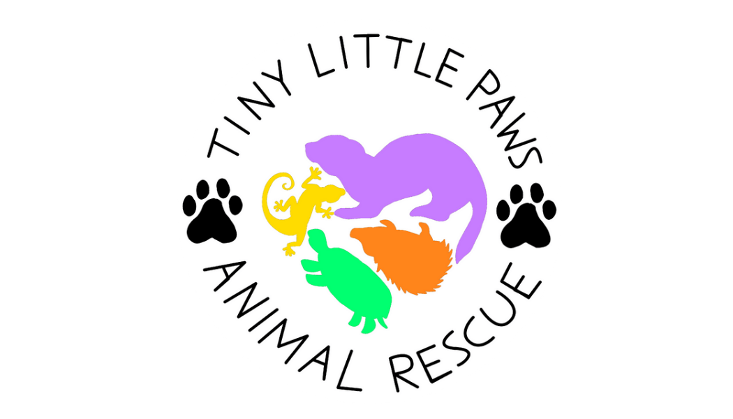 Tiny Little Paws Animal Rescue