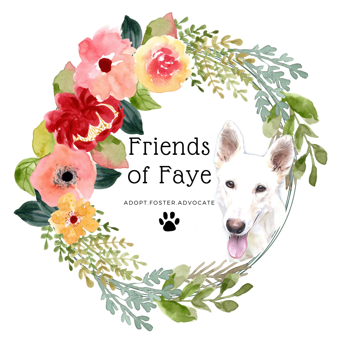 Friends of Faye