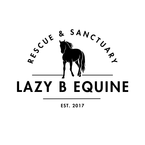 Lazy B Equine Rescue and Sanctuary