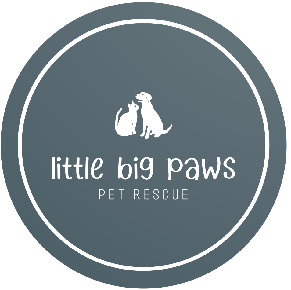Little Big Paws Pet Rescue