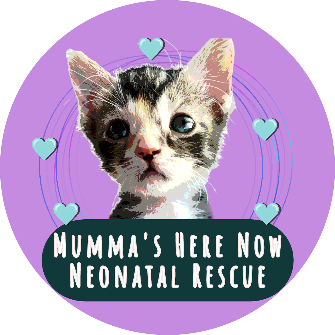 Mumma's Here Now Neonatal Rescue