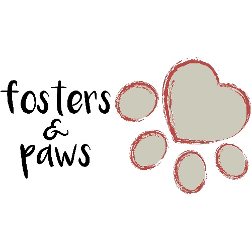 Fosters & Paws