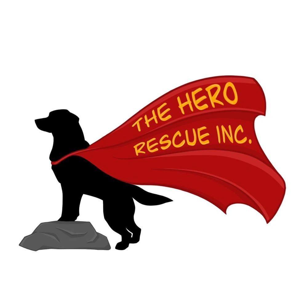 The Hero Rescue, Incorporated