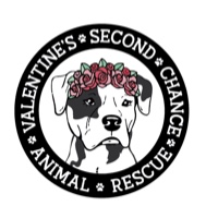 Valentine’s Second Chance Animal Rescue