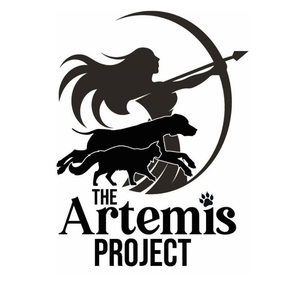 The Artemis Project