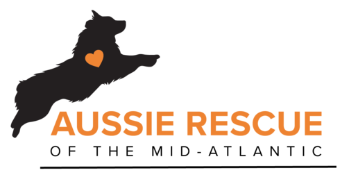 Aussie Rescue of the Mid Atlantic
