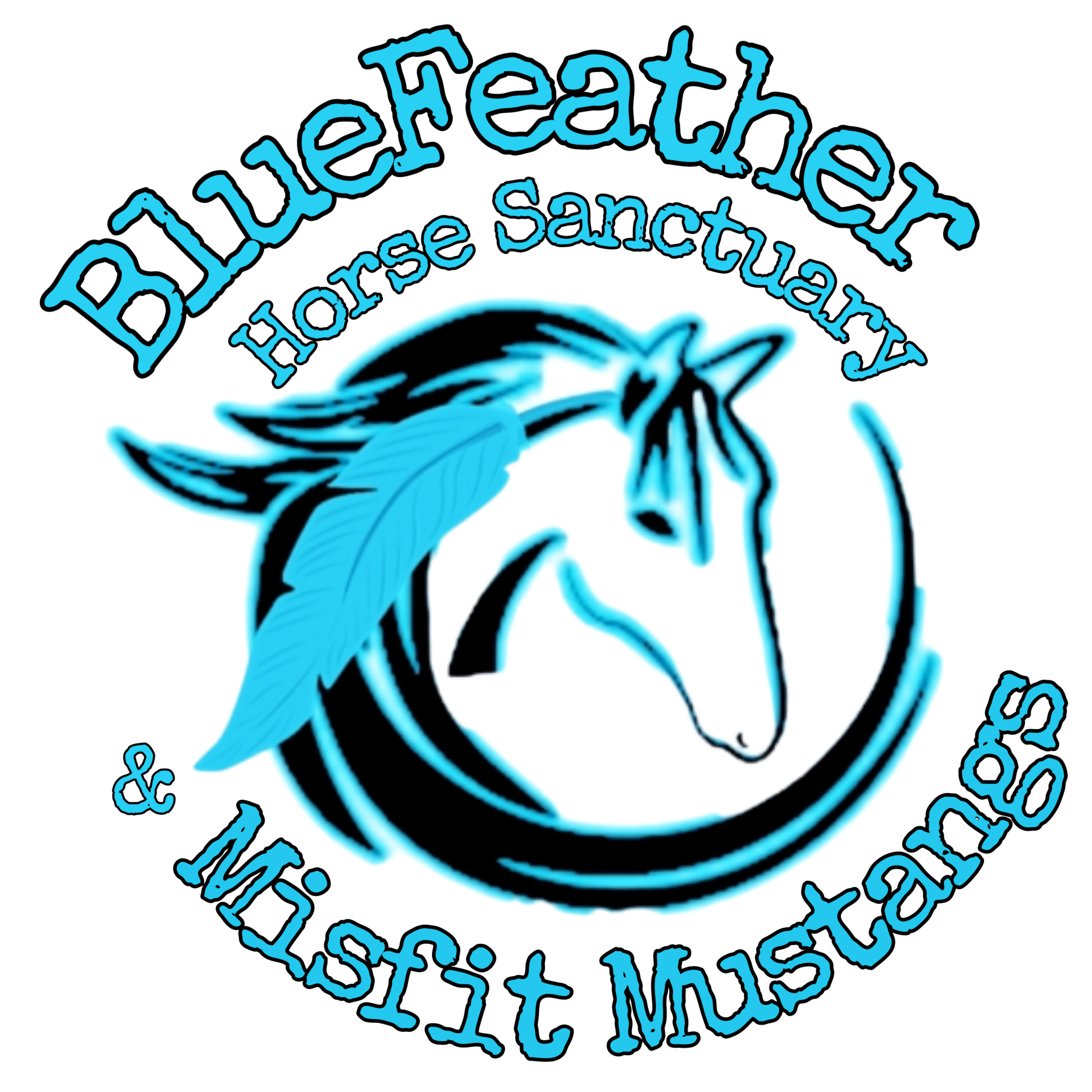 BlueFeather Horse Sanctuary and Misfit Mustangs