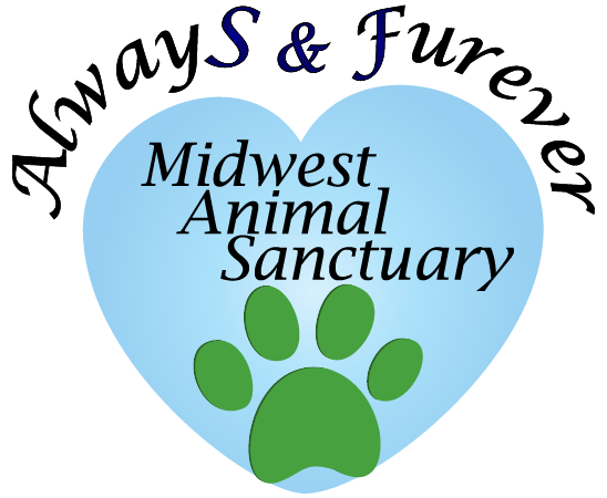 Always & Furever Midwest Animal Sanctuary