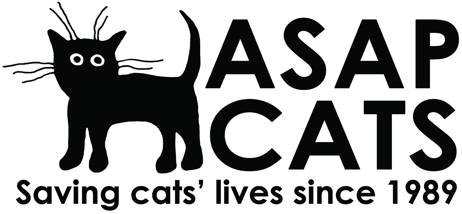 ASAP Cats