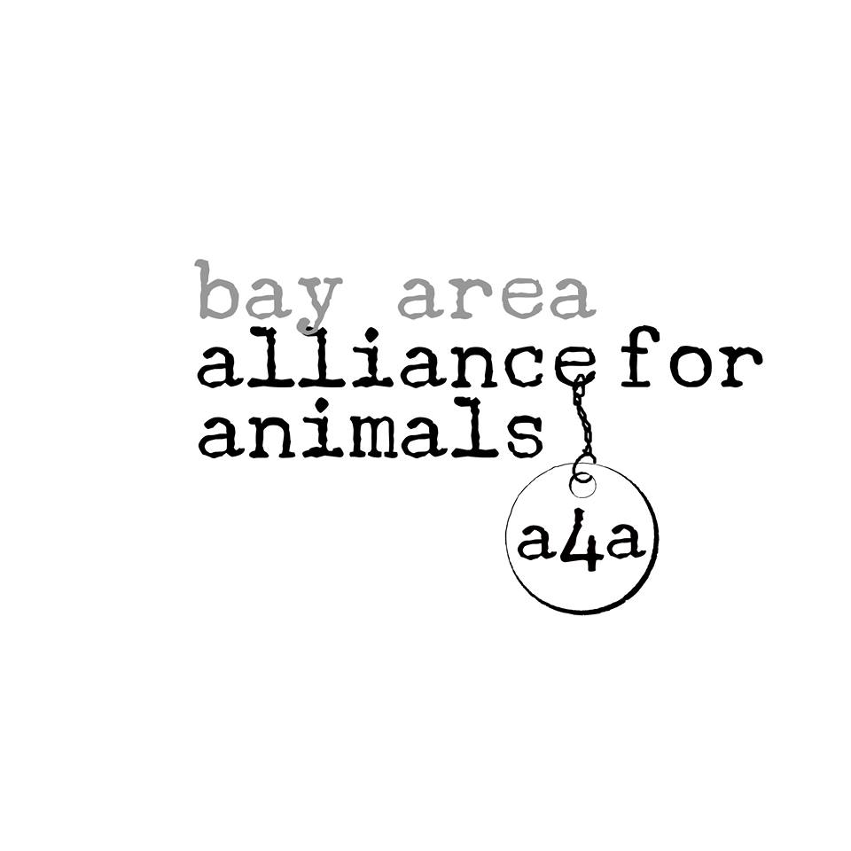 Bay Area Alliance For Animals