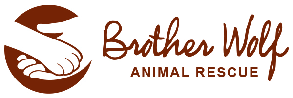 Brother Wolf Animal Rescue