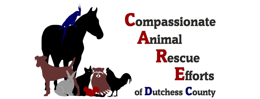 Compassionate Animal Rescue Efforts of Dutchess County