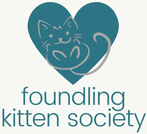 Foundling Kitten Society