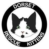 Dorset Rescue Kittens Association