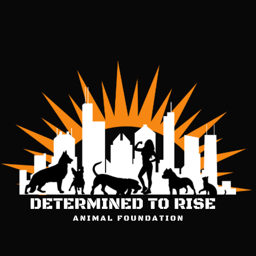 Determined To Rise Animal Foundation