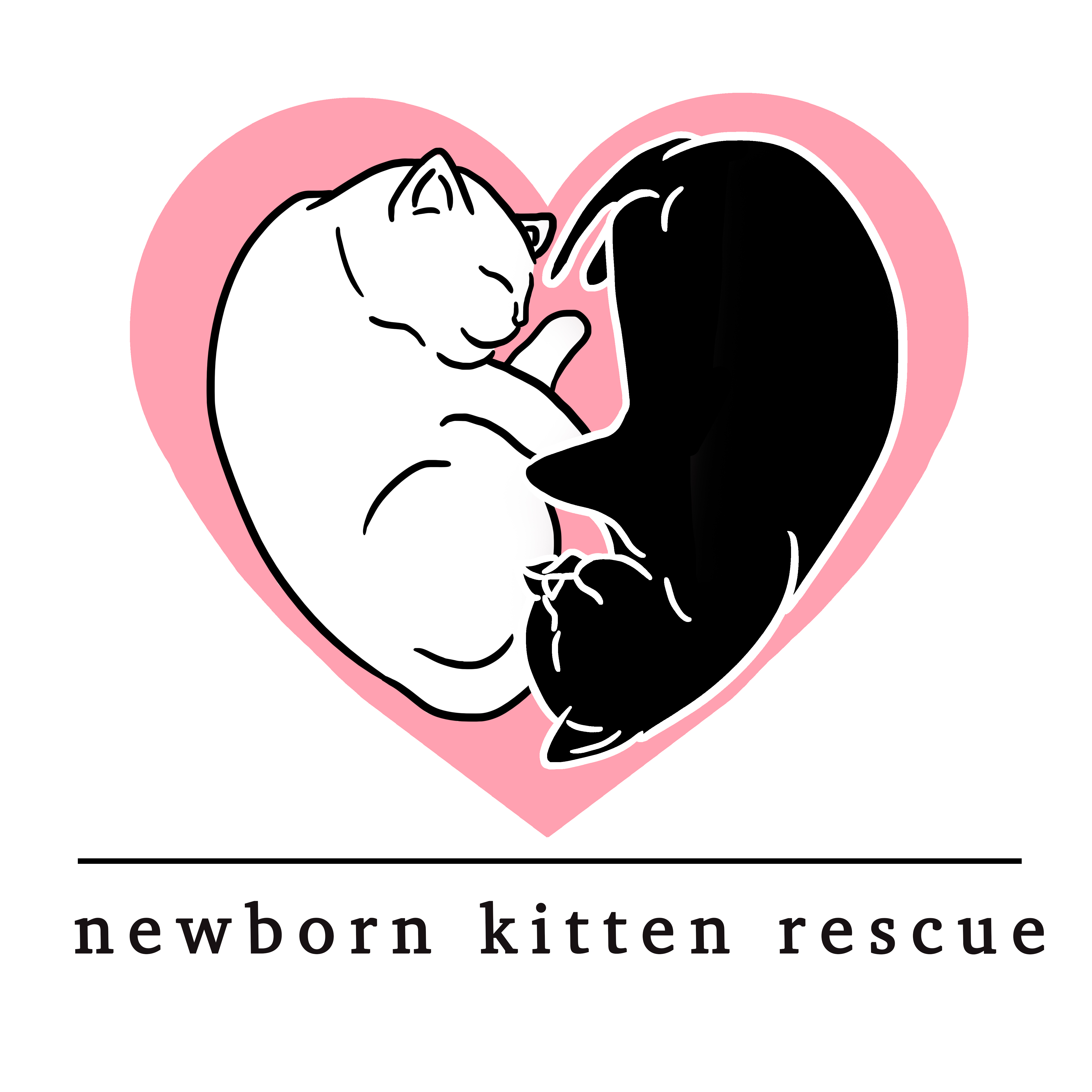 Newborn Kitten Rescue