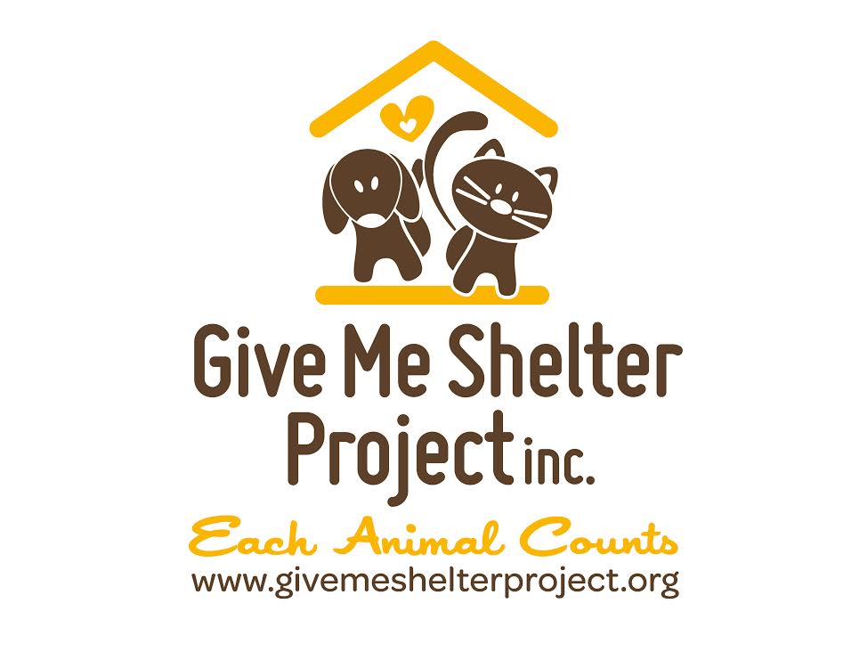 Give Me Shelter Project