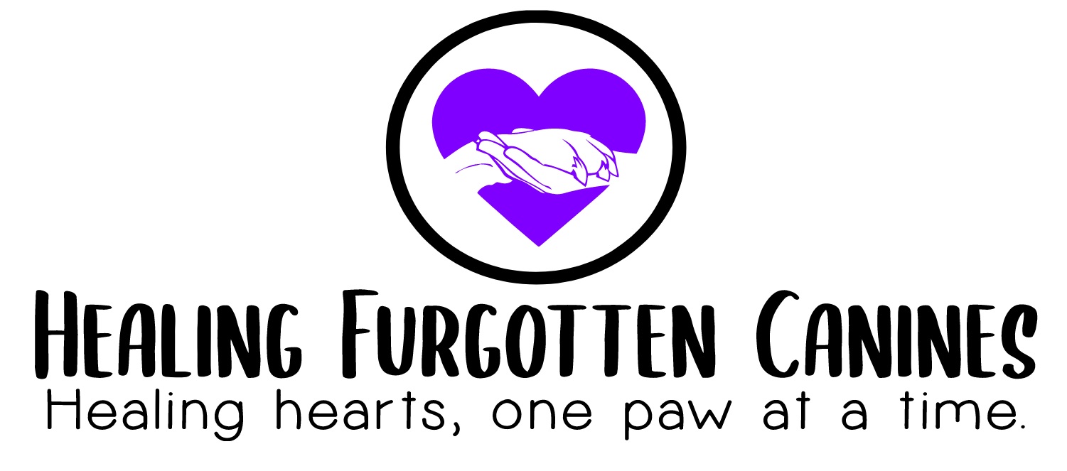 Healing FurGotten Canines