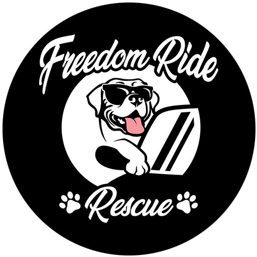 Freedom Ride Rescue