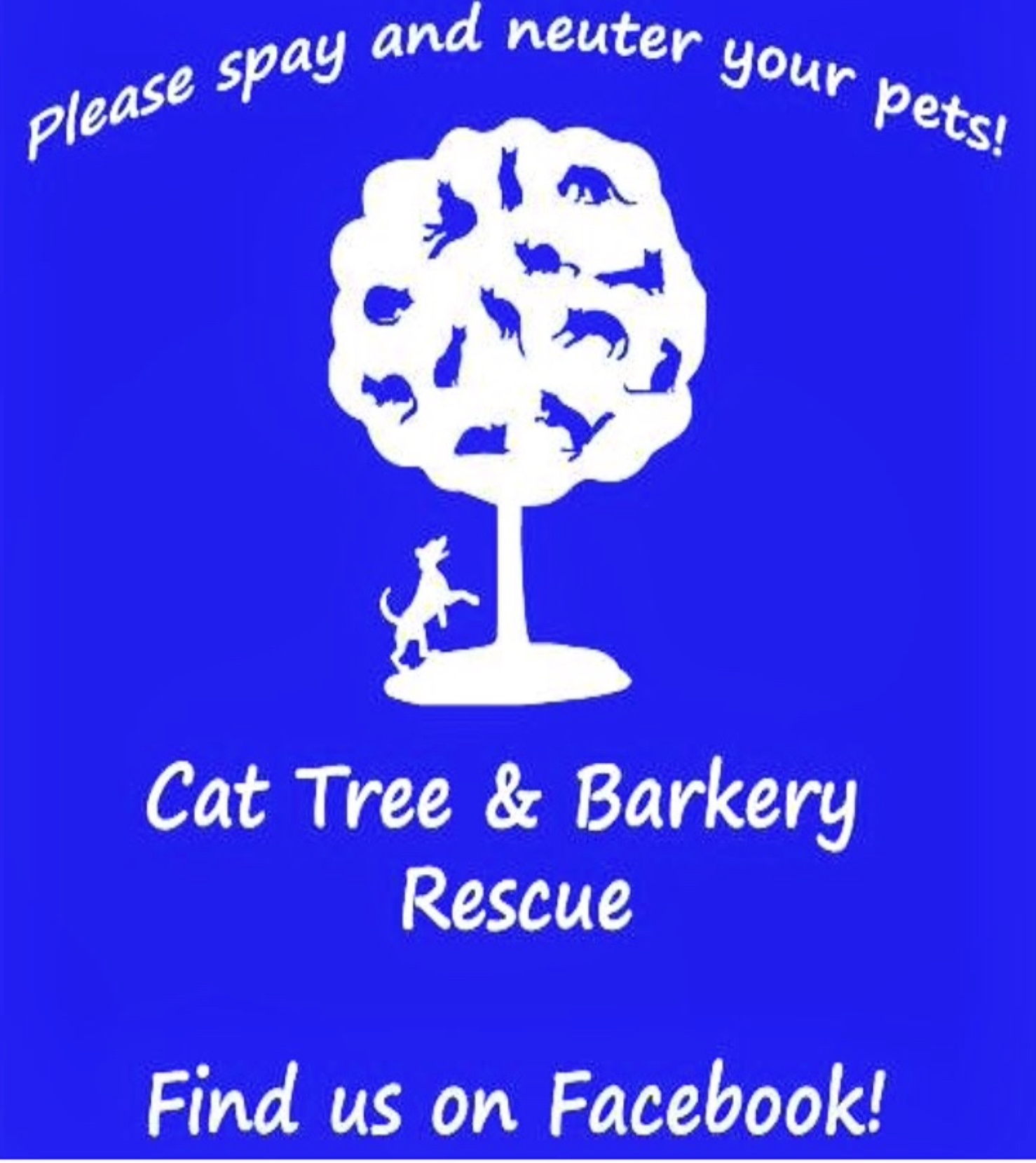 Cat Tree and Barkery Rescue