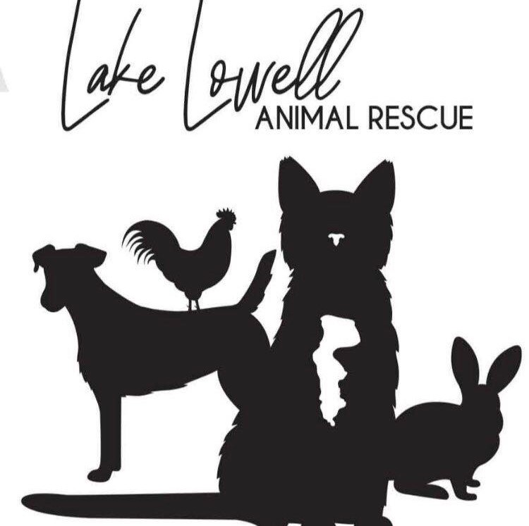 Lake Lowell Animal Rescue