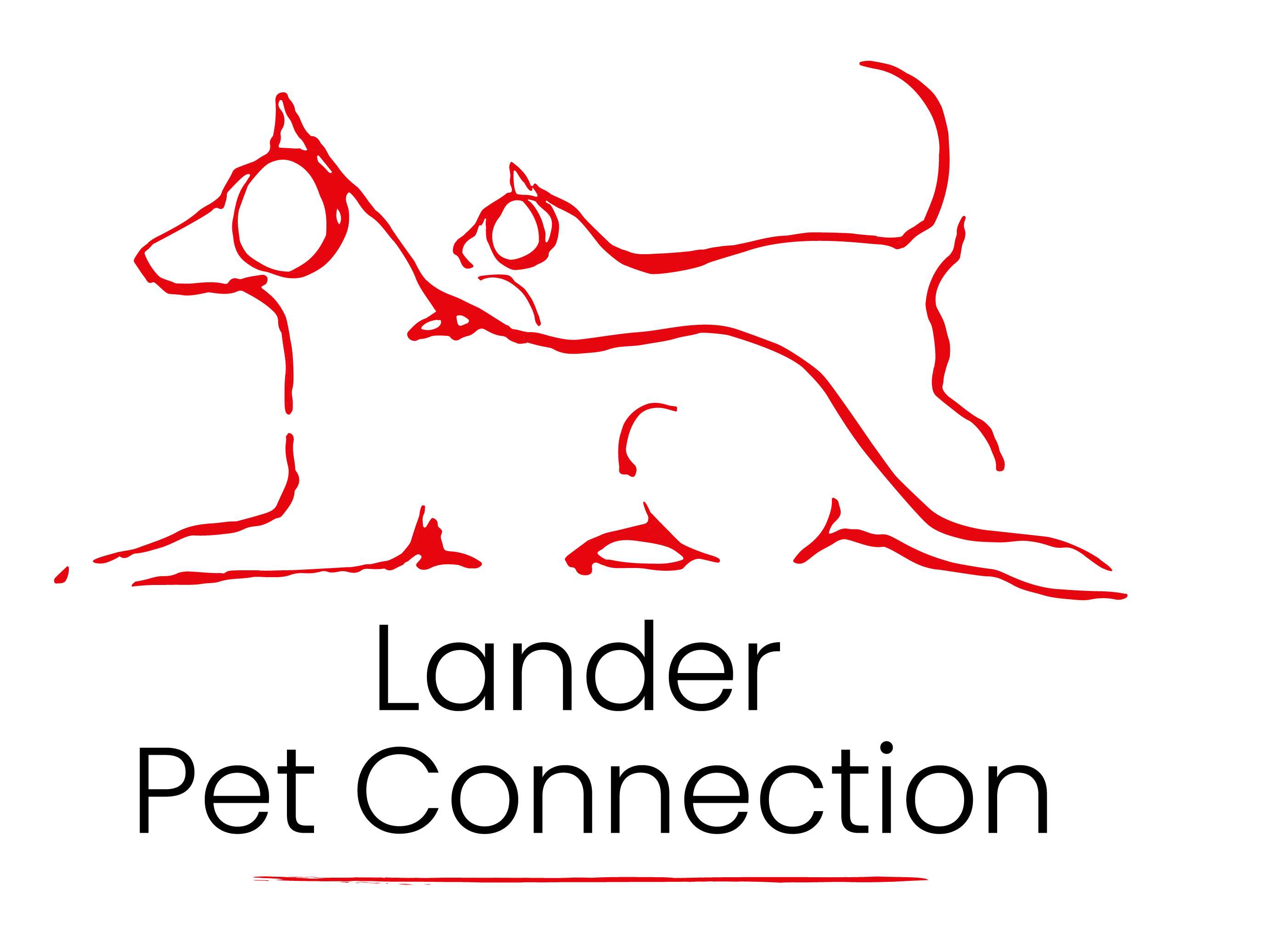 Lander Pet Connection 