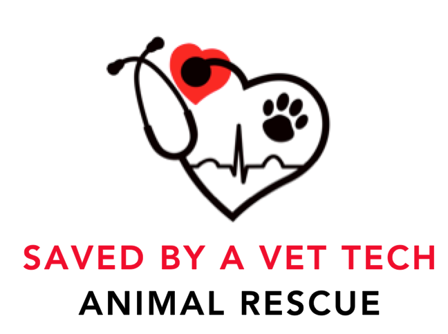 Saved By A Vet Tech Rescue 