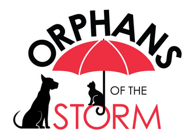 Orphans of the Storm