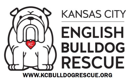 Kansas City English Bulldog Rescue