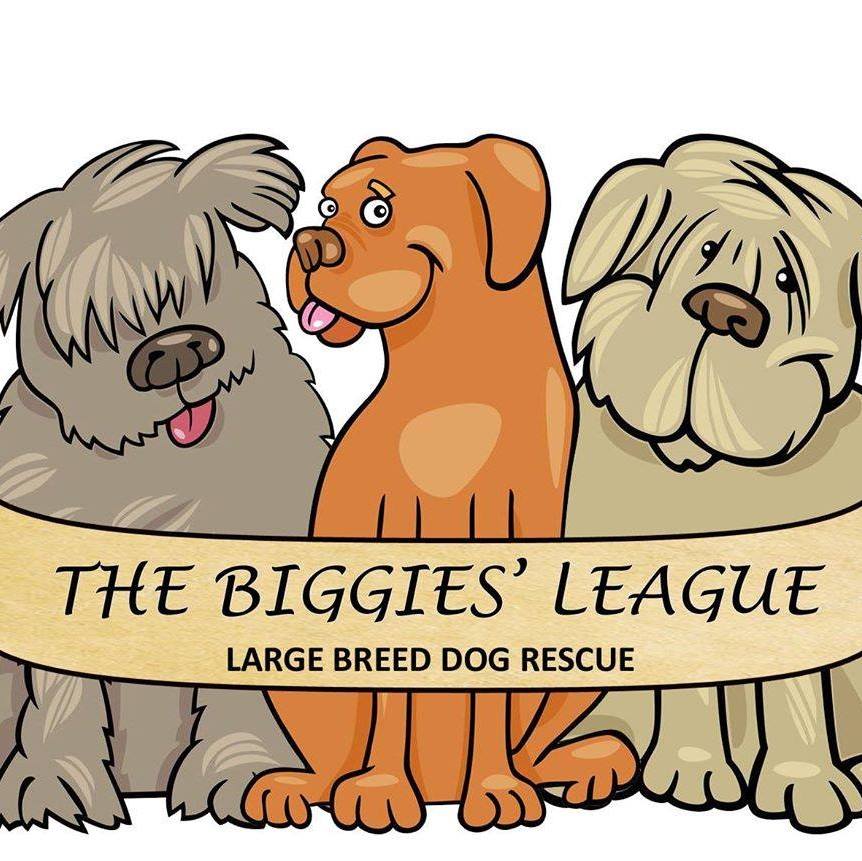 The Biggies' League
