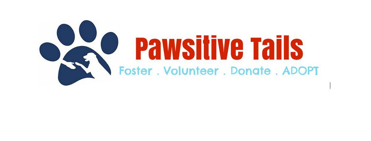 Pawsitive Tails Dog Rescue