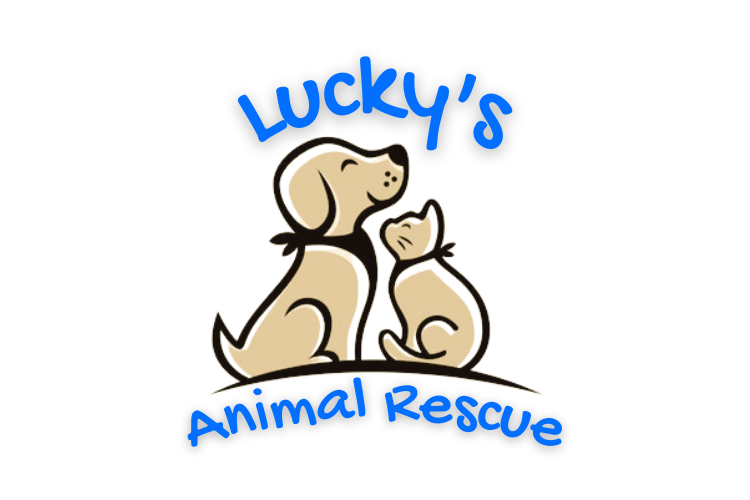 Lucky's Animal Rescue
