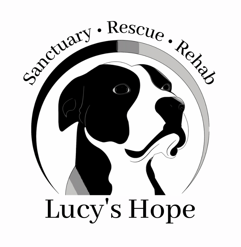 Lucy's Hope Sanctuary and Rescue