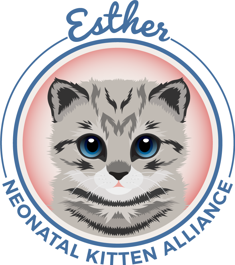 Esther Neonatal Kitten Alliance