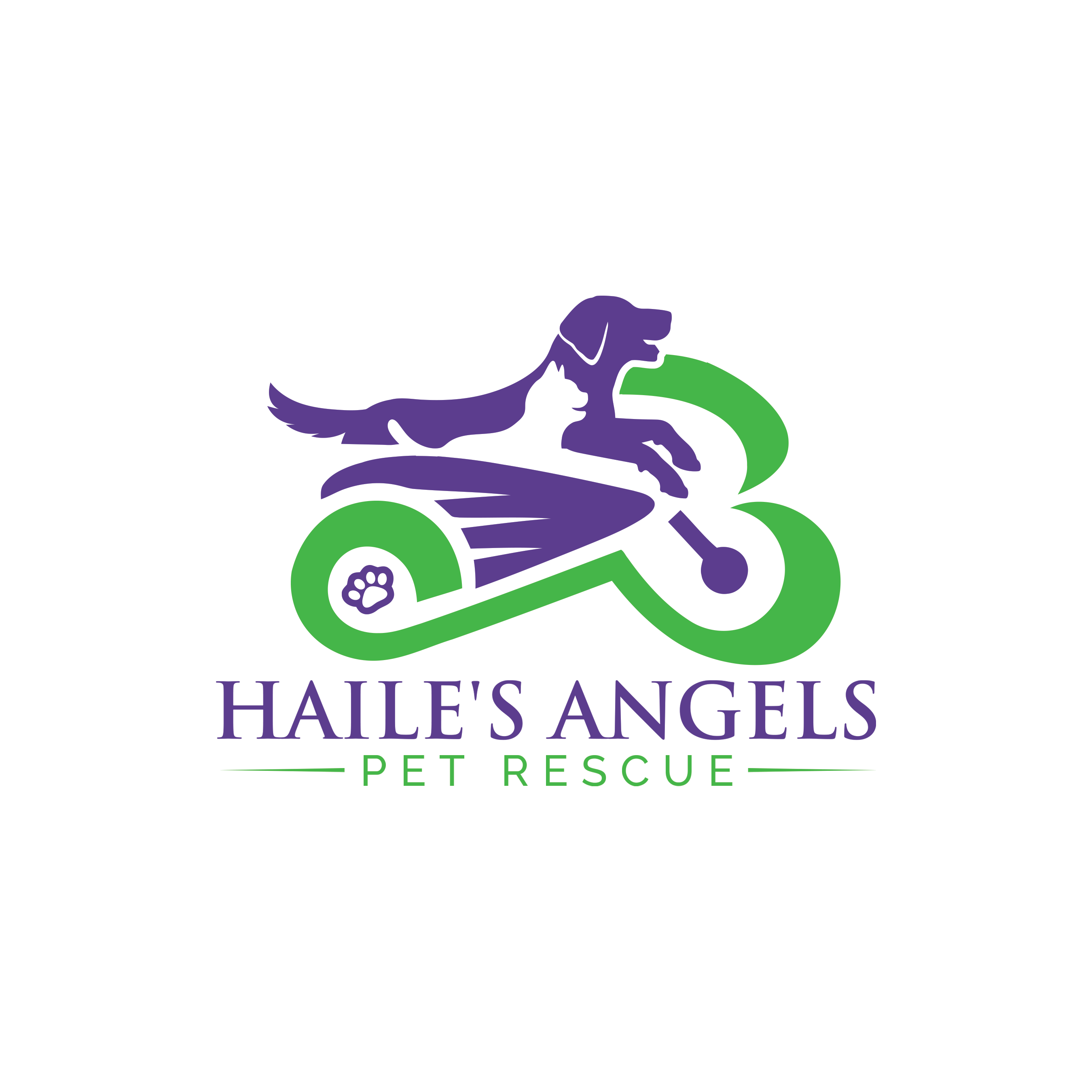 Haile's Angels Pet Rescue