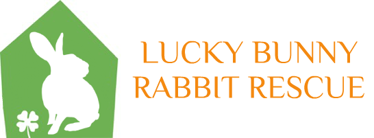 Lucky Bunny Rabbit Rescue