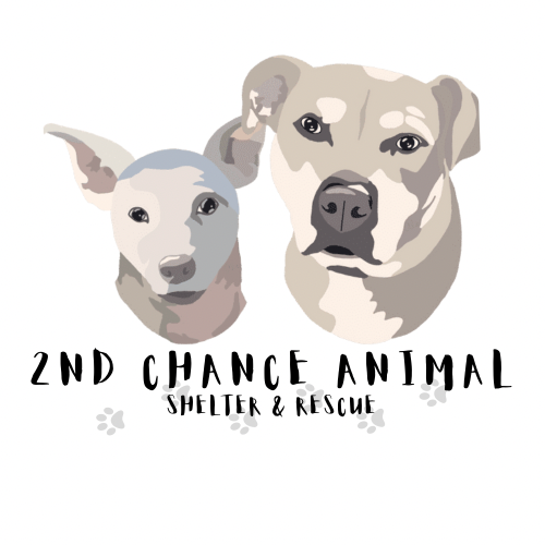 2nd Chance Animal Shelter & Rescue