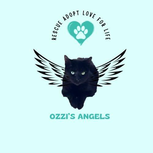 Ozzi's Angels