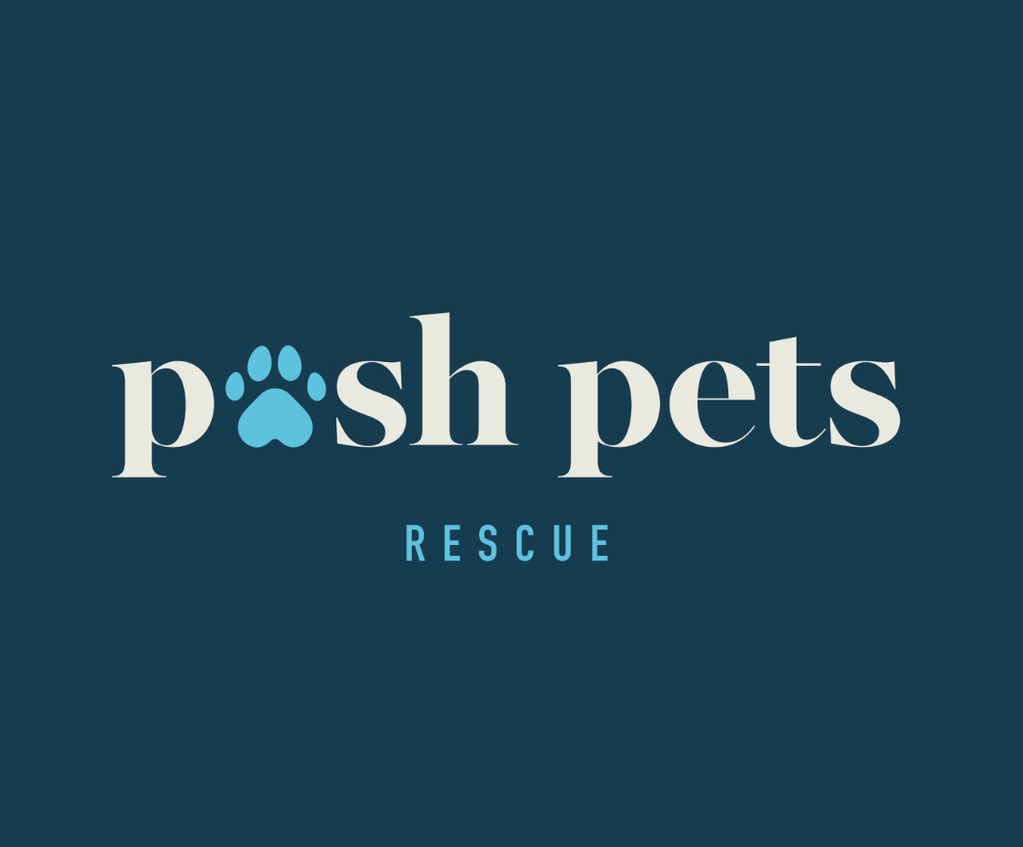 Posh Pets Rescue