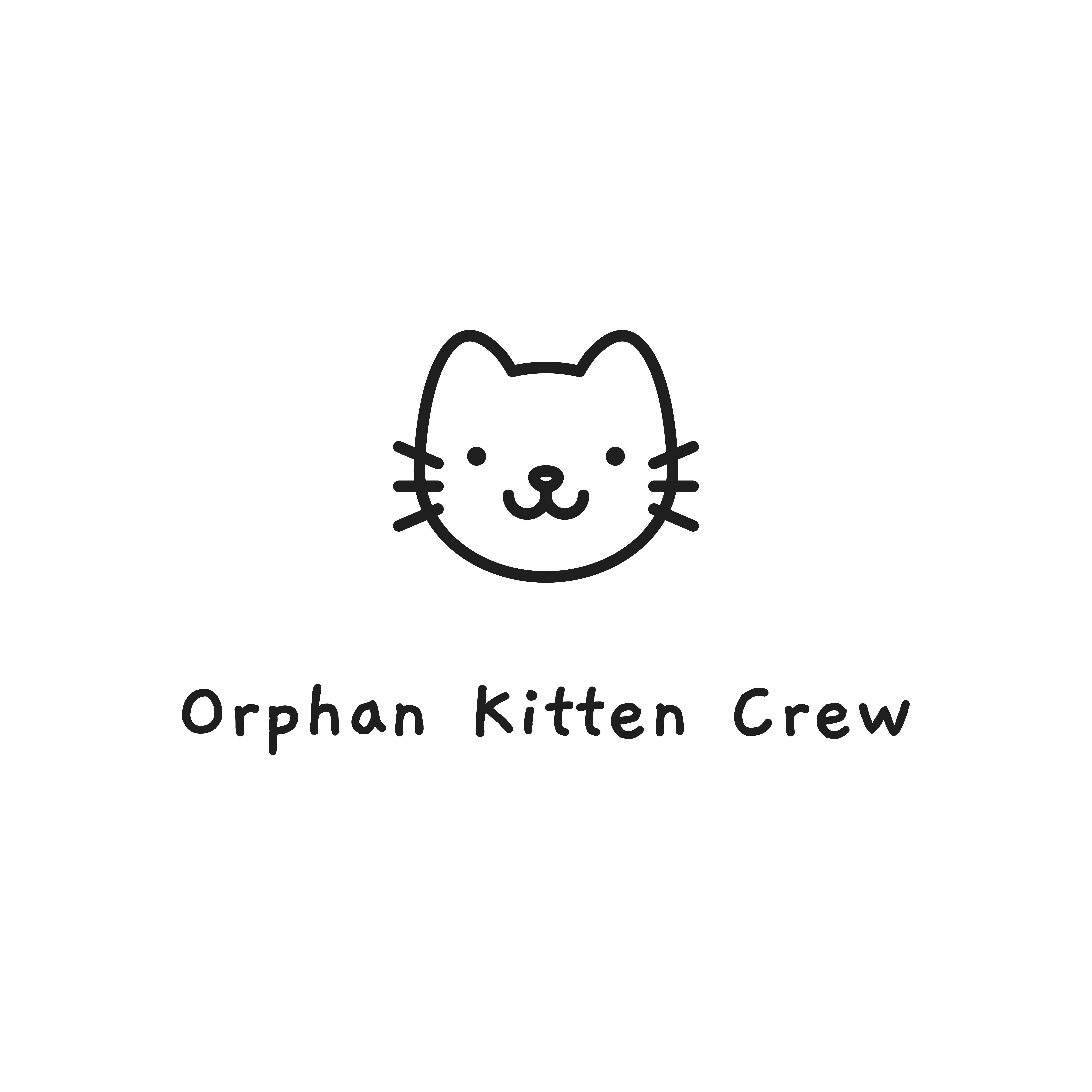 Orphan Kitten Crew