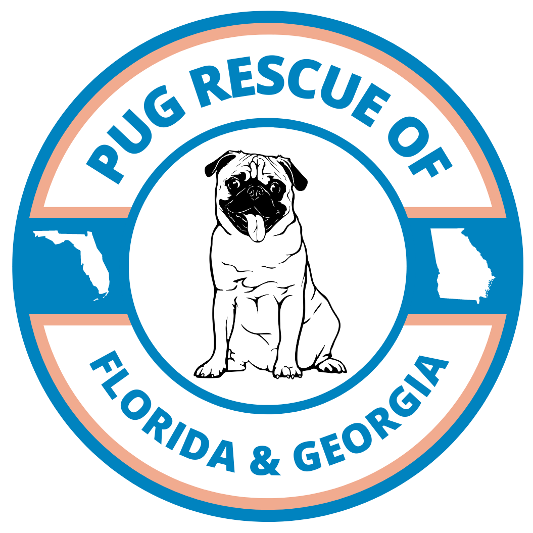 Pug Rescue of Florida