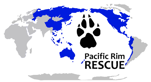Pacific Rim Rescue
