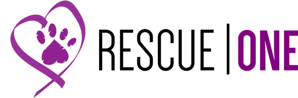 Rescue One