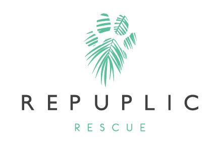 Repuplic Rescue