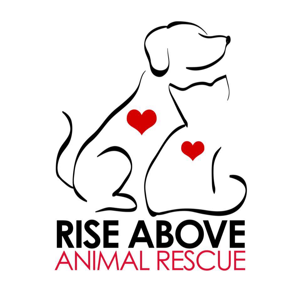 Rise Above Animal Rescue